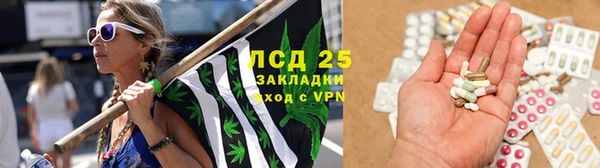 МДПВ Бородино