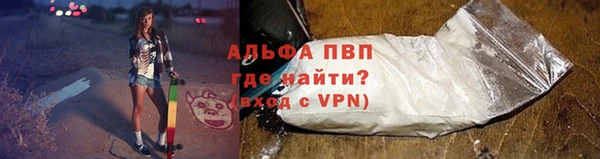 МДПВ Бородино