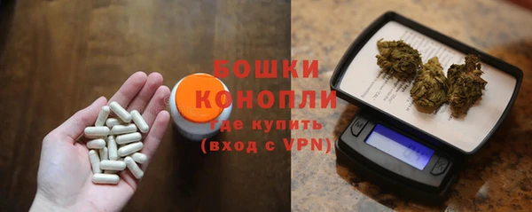 МДПВ Бородино