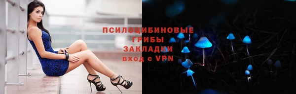 МДПВ Бородино