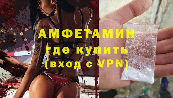 МДПВ Бородино