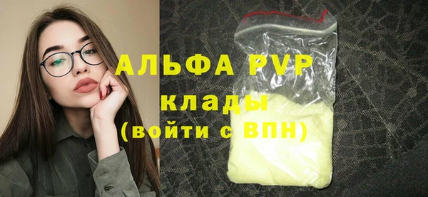 МДПВ Бородино