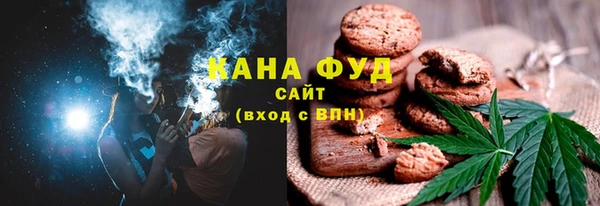 МДПВ Бородино