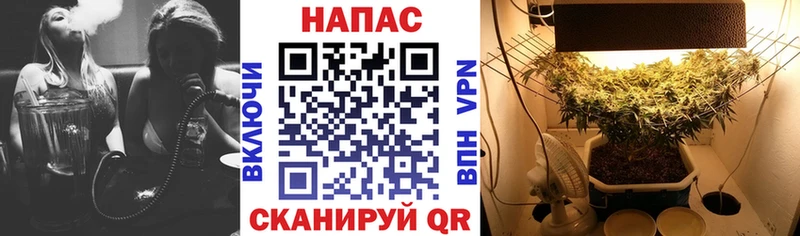 Канабис Bruce Banner  Горняк 